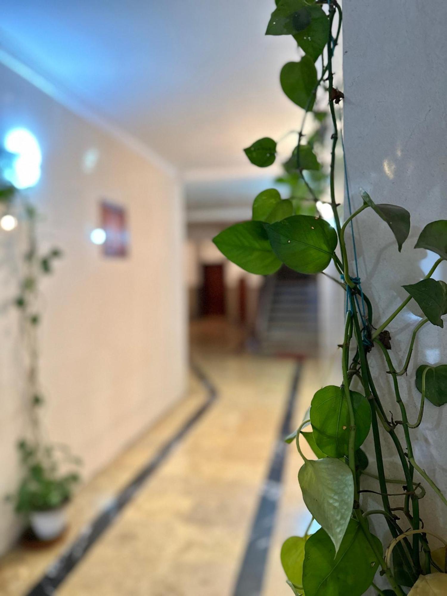 Casa Central Tétouan Exteriör bild